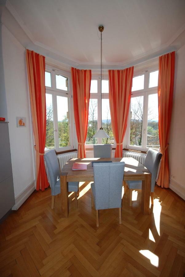 Appartements In Zentraler Lage Tübingen Kültér fotó